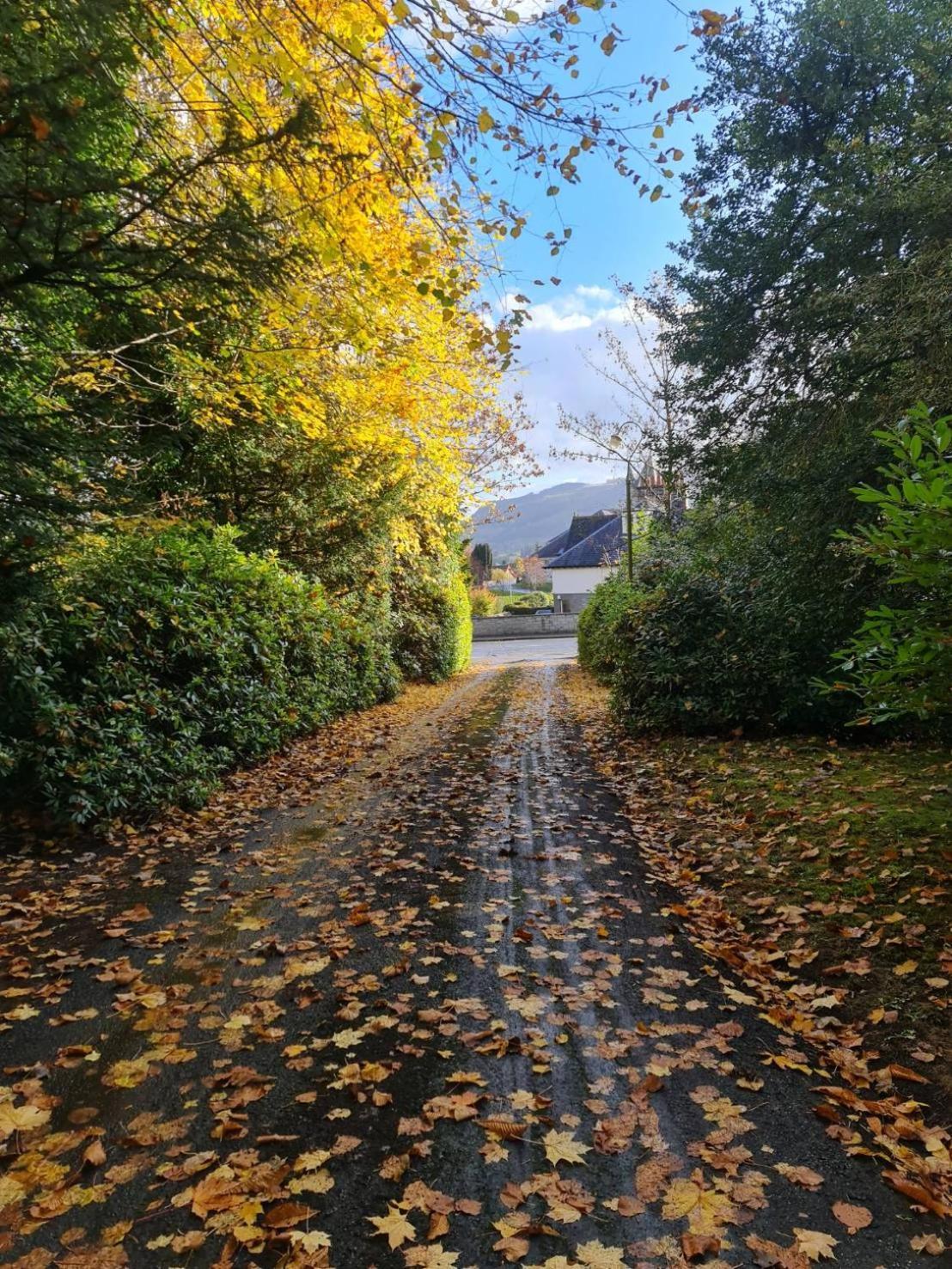Wellwood Manor Ξενοδοχείο Pitlochry Εξωτερικό φωτογραφία